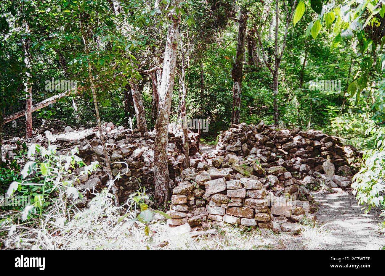 Ein Pfad schlängelt sich durch die Trümmer einer antiken Struktur. BECAN Maya Ruinen. Campeche, Mexiko. Vintage Film Bild - ca. 1990. Stockfoto