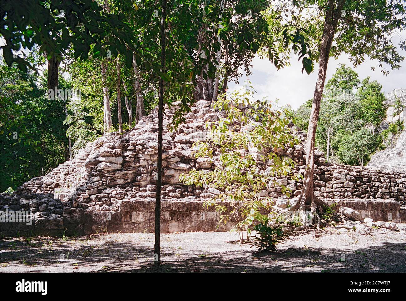 Archäologische Stätte von BECAN Maya. Ruinen einer alten Struktur mit Bäumen, die darauf wachsen. Struktur X im Hintergrund (links). Campeche, Mexiko. Vintage Film Bild - ca. 1990. Stockfoto