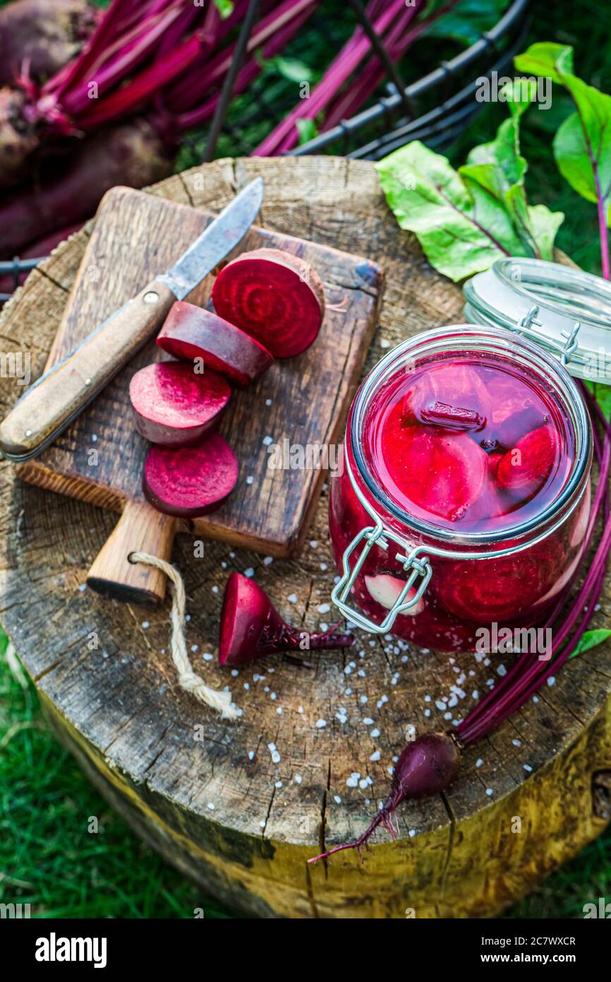 Eingelegte Rote Beete im Glas mit Salz und Knoblauch Stockfoto