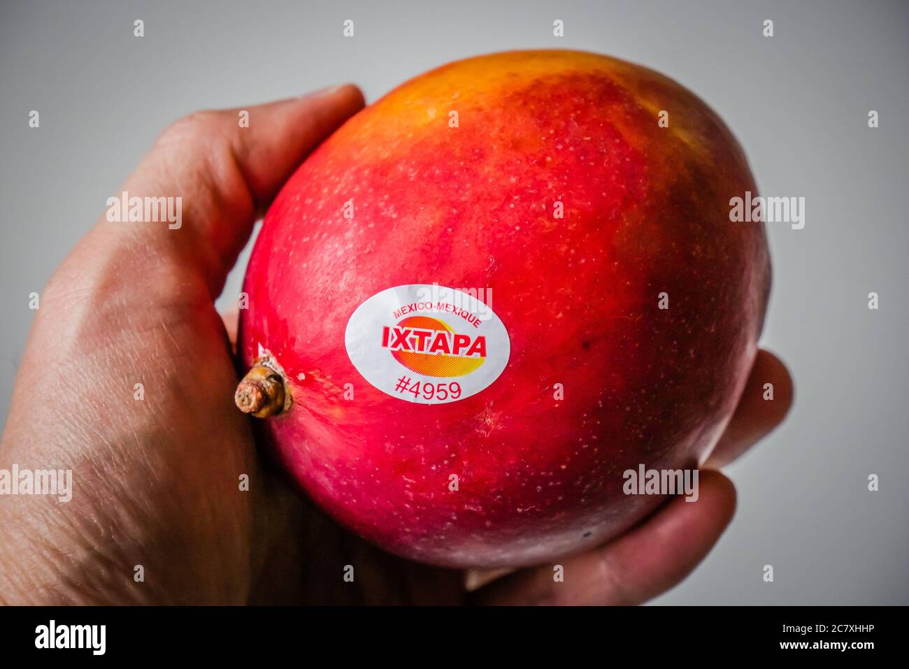 Irwin Mango auch bekannt als Apfelmango, aus Mexiko importiert Stockfoto