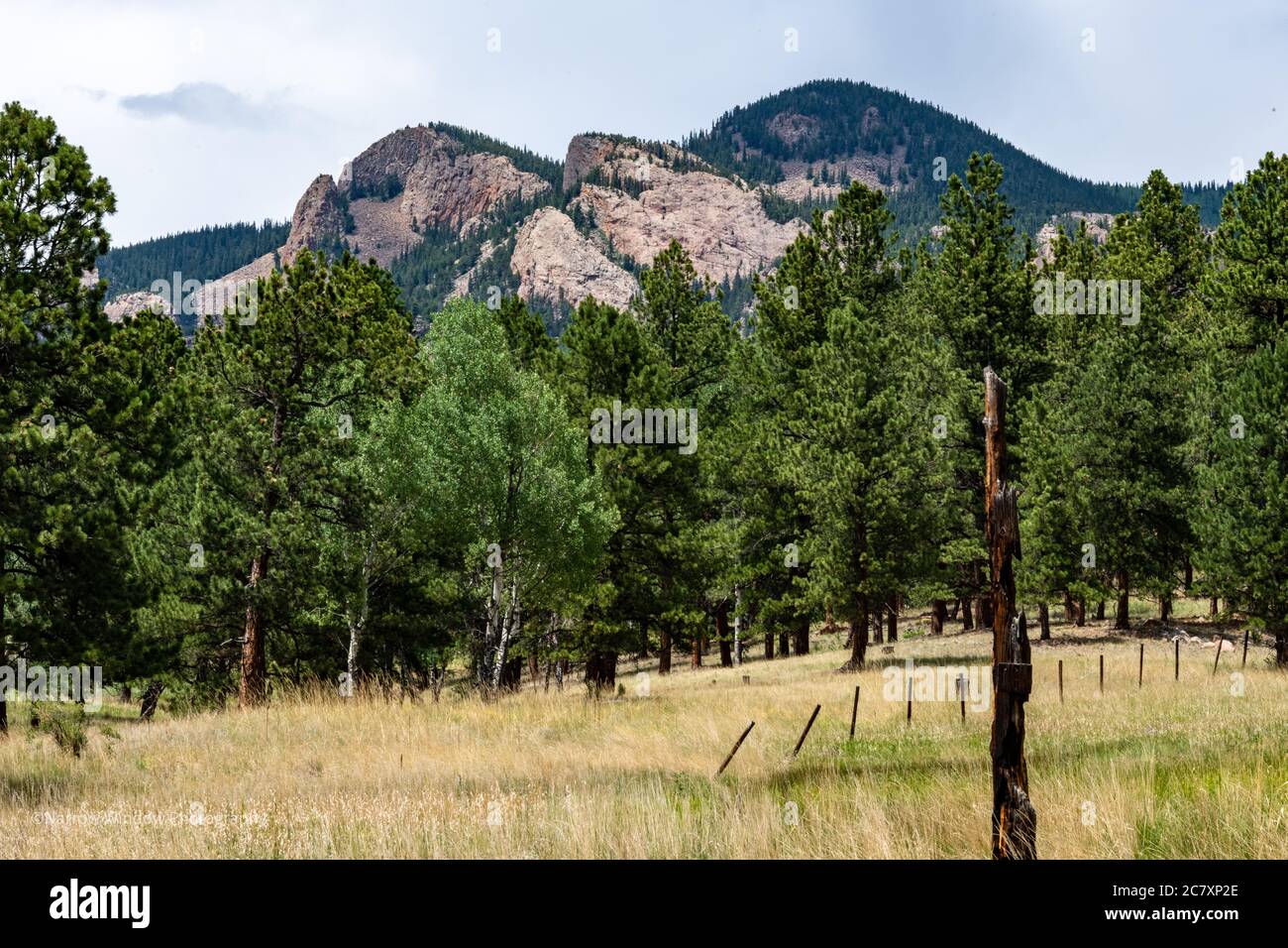 Berge und Wiese im Staunton State Park Colorado Stockfoto