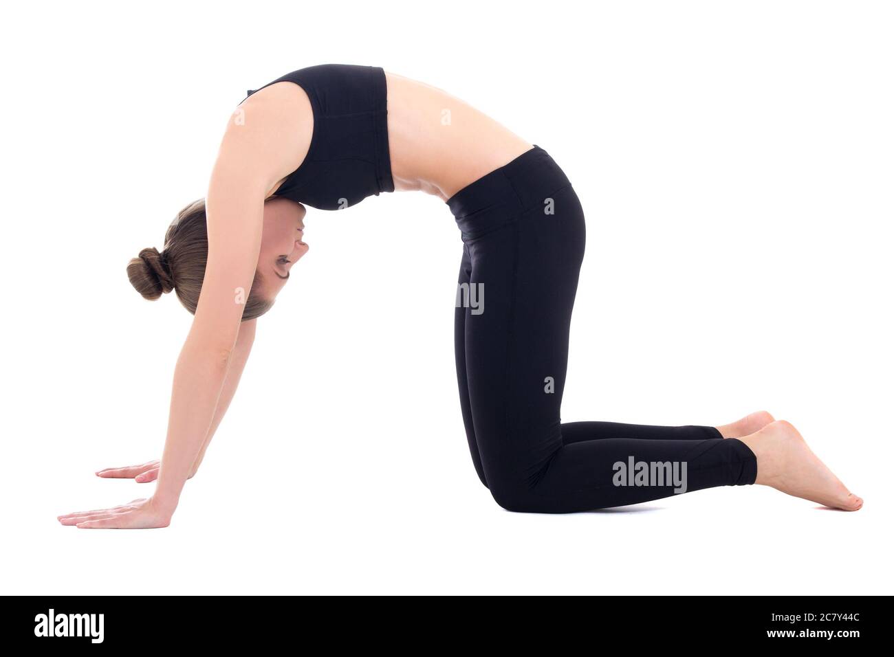 Cat Stretch Pose Stockfotos Und Bilder Kaufen Seite 2 Alamy