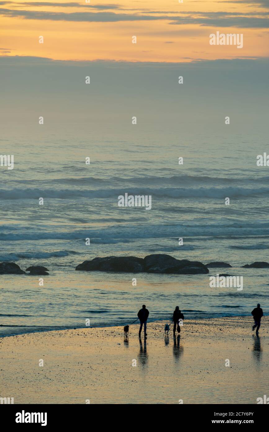 Hundewanderer haben in der Abenddämmerung auf der Olympic Peninsula in Washington, USA, am Strand geschilhoutet Stockfoto