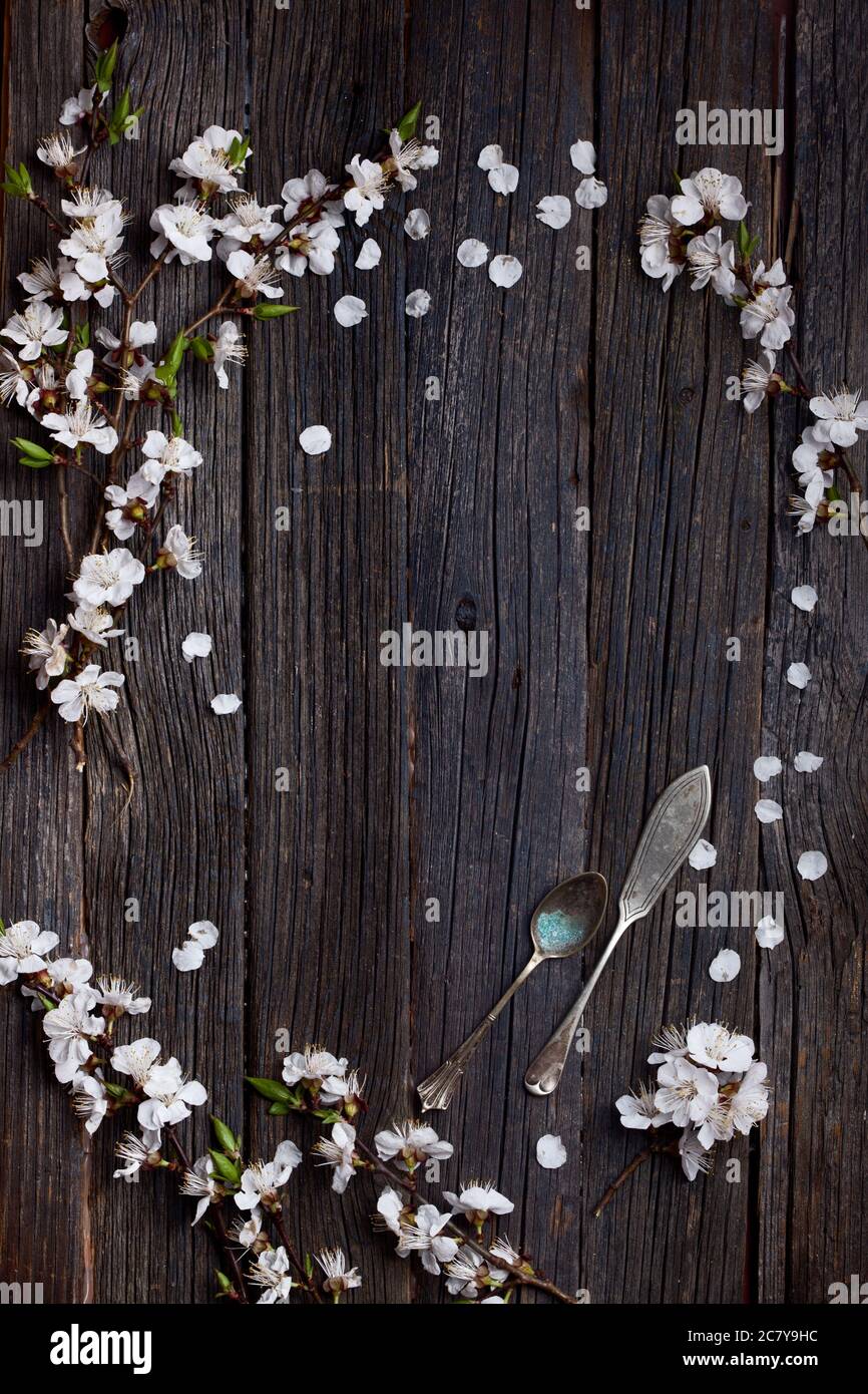 Alte dunkle rustikale Holztischoberfläche mit weißen Frühlingsblüten und antiker silberner Geschirrware, flach Stockfoto