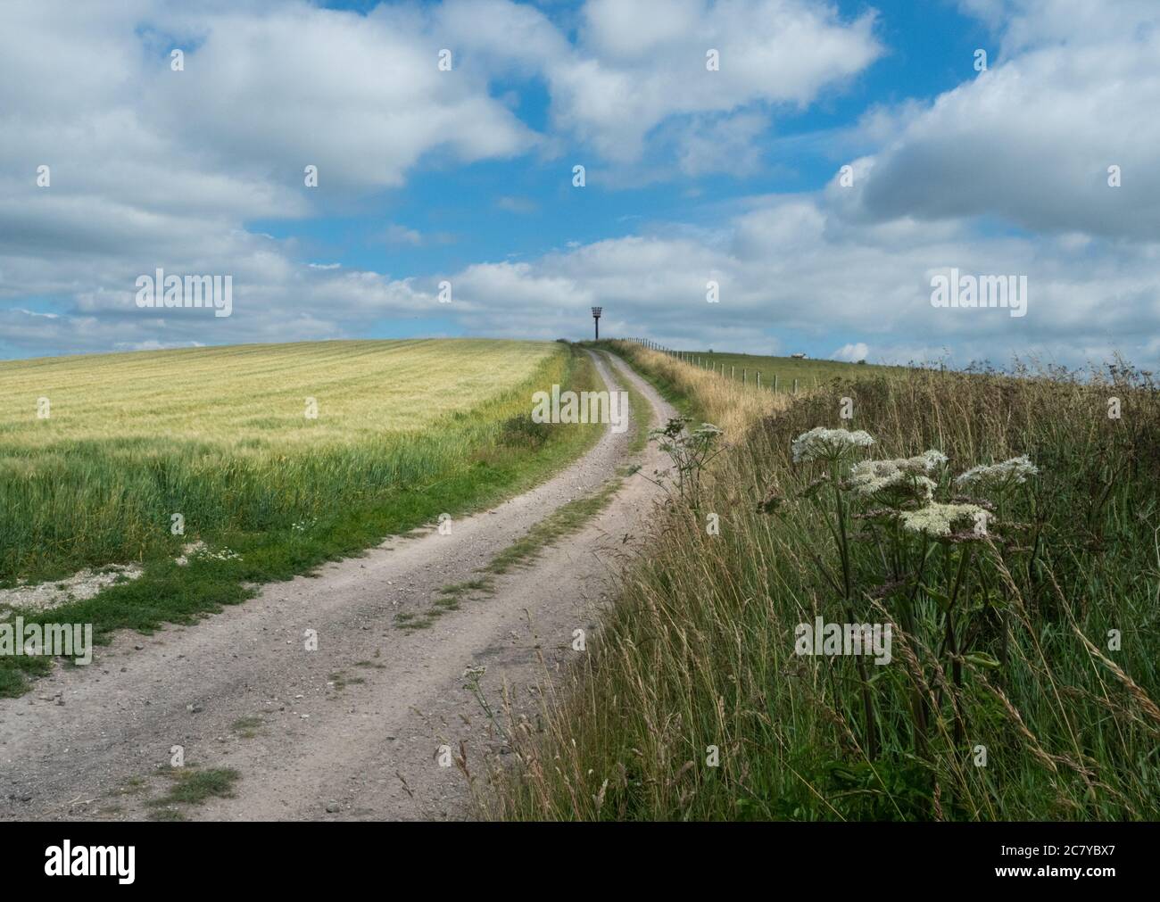 Cold Kitchen Hill in West Wiltshire an einem Sommertag, das Leuchtfeuer Stockfoto