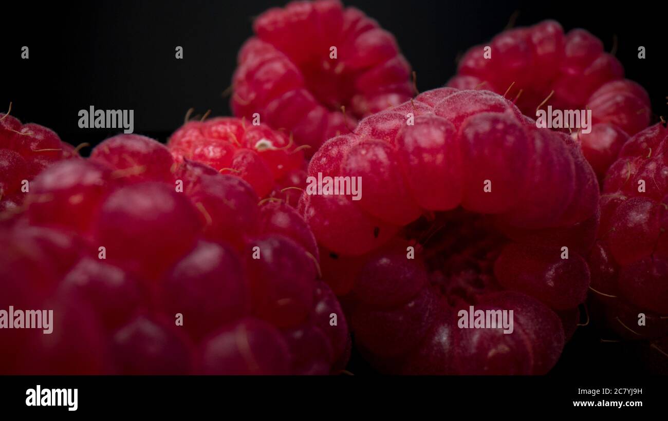 Makroansicht von Himbeeren. Frische, feste und schmackhafte Himbeere aus nächster Nähe. Rohe Bio vegane Sommer-Snacks, Waldbeeren. Stockfoto
