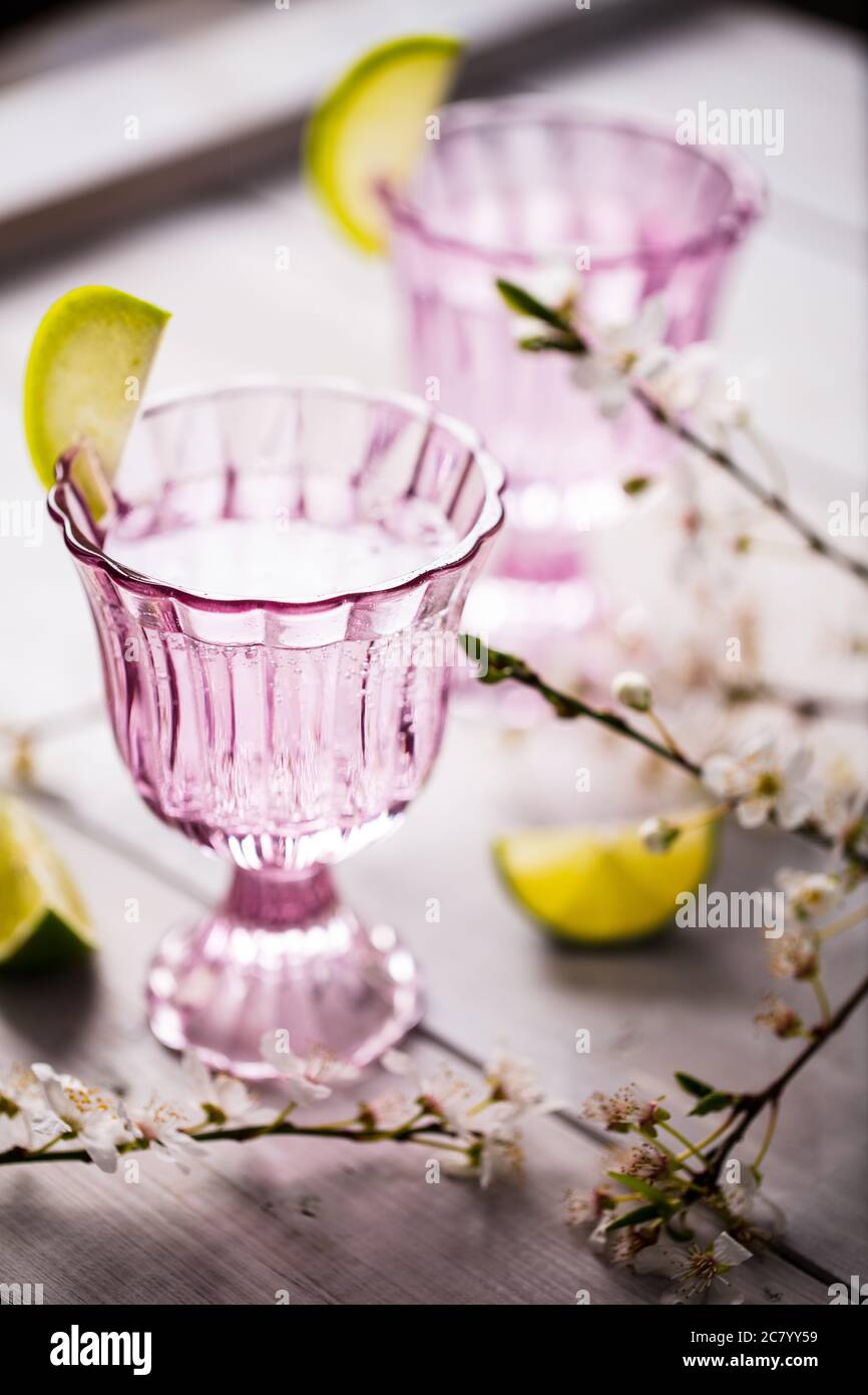 2 Gläser harter Seltzer in vintage rosaroten Gläsern mit einer Limettengarnitur serviert. Gläser werden auf rustikalem weißen Holztisch mit Apfelblüte gesetzt Stockfoto