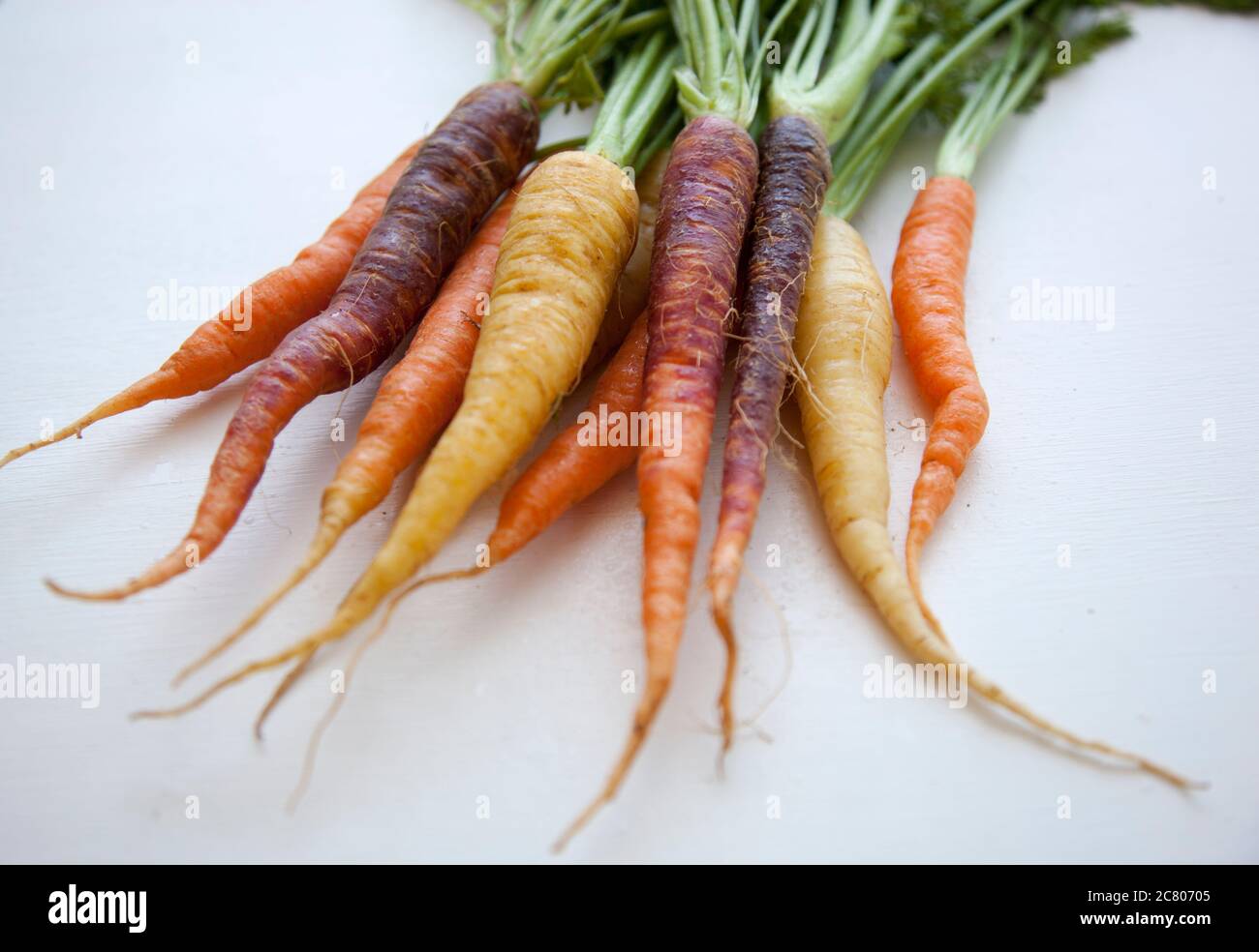 Nahaufnahme eines Bündels frisch gepflückter Karotten auf weißem Grund Stockfoto