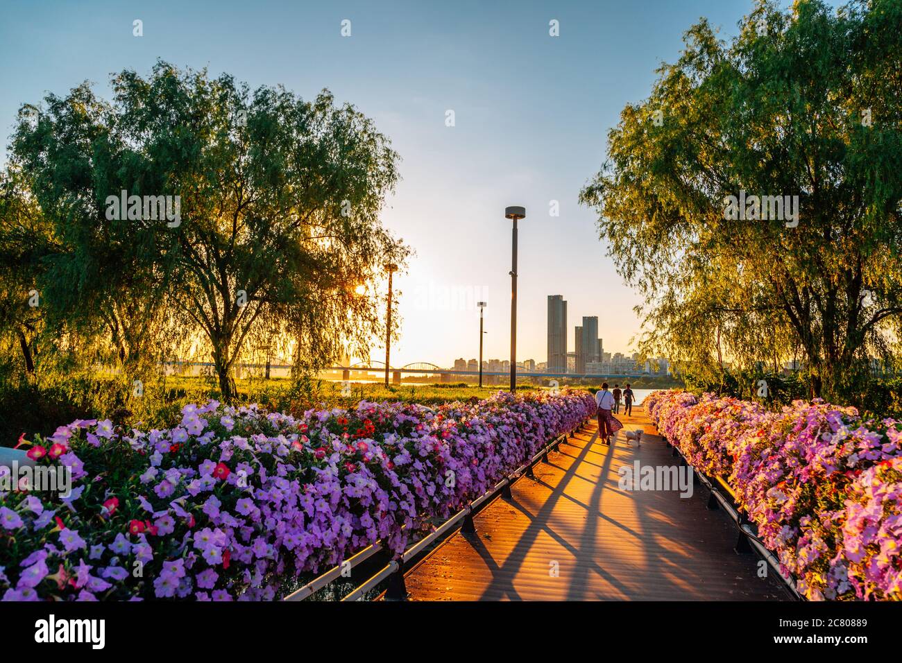 Sonnenuntergang im Banpo Hangang Park Seorae Island und Stadtbild mit Han River in Seoul, Korea Stockfoto