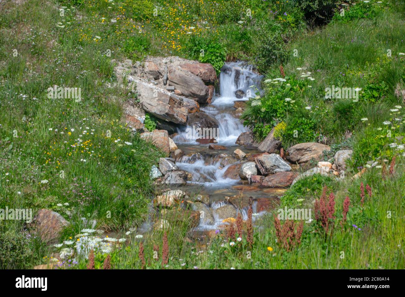 Ein beautfiul Bach des Wassers, 'lago delle Marmotte', Tonale Est, Trentino, Italien Stockfoto