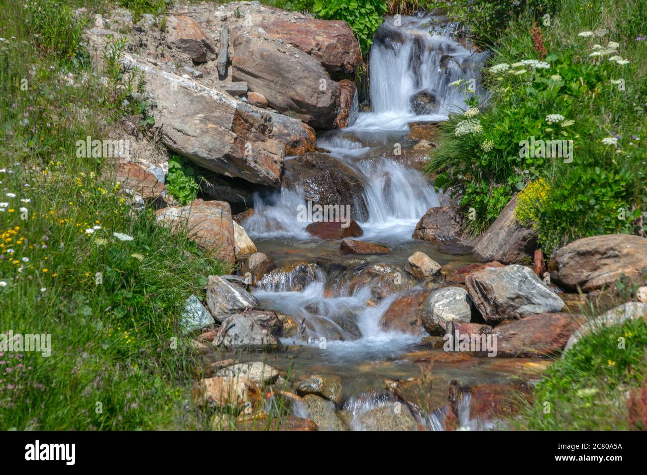Ein beautfiul Bach des Wassers, 'lago delle Marmotte', Tonale Est, Trentino, Italien Stockfoto