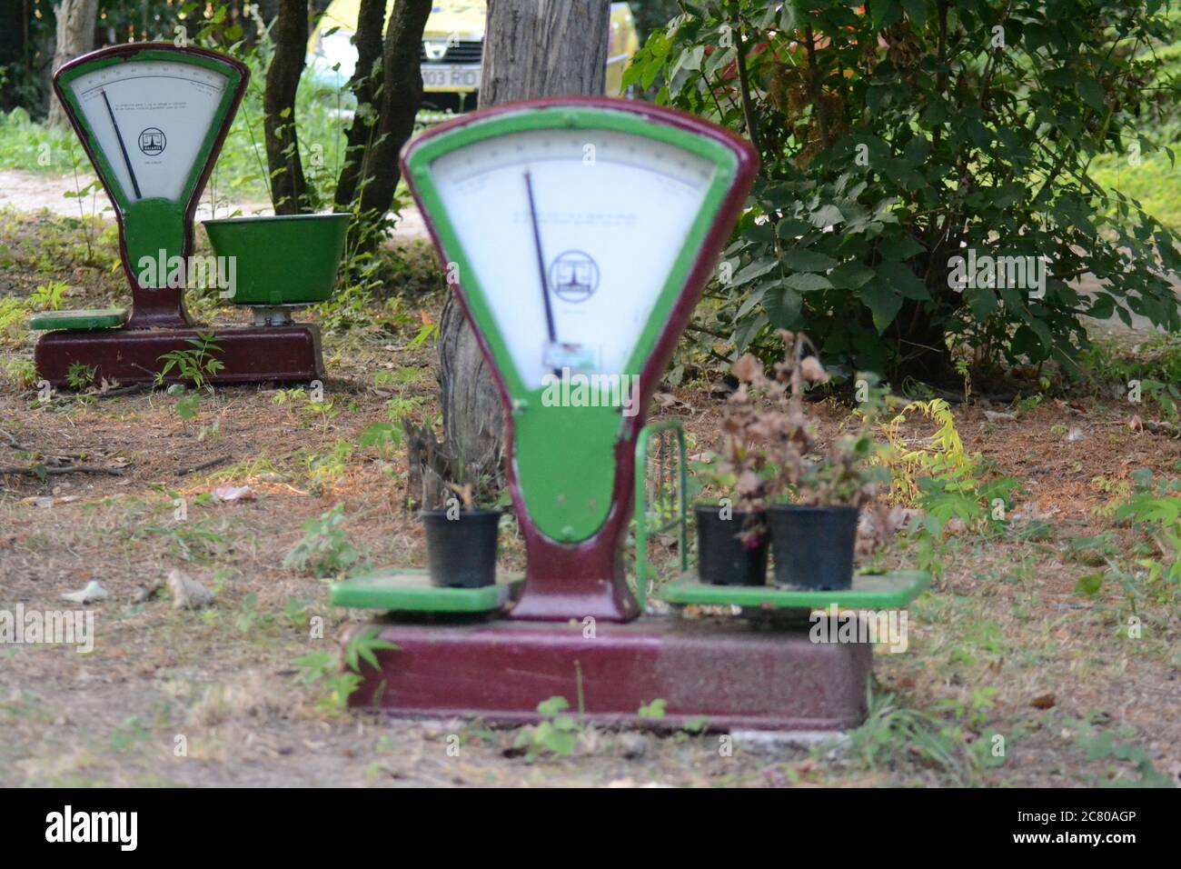 Nahaufnahme der Waage im Hotelgarten in der Eforie Nord Rumänien Stockfoto