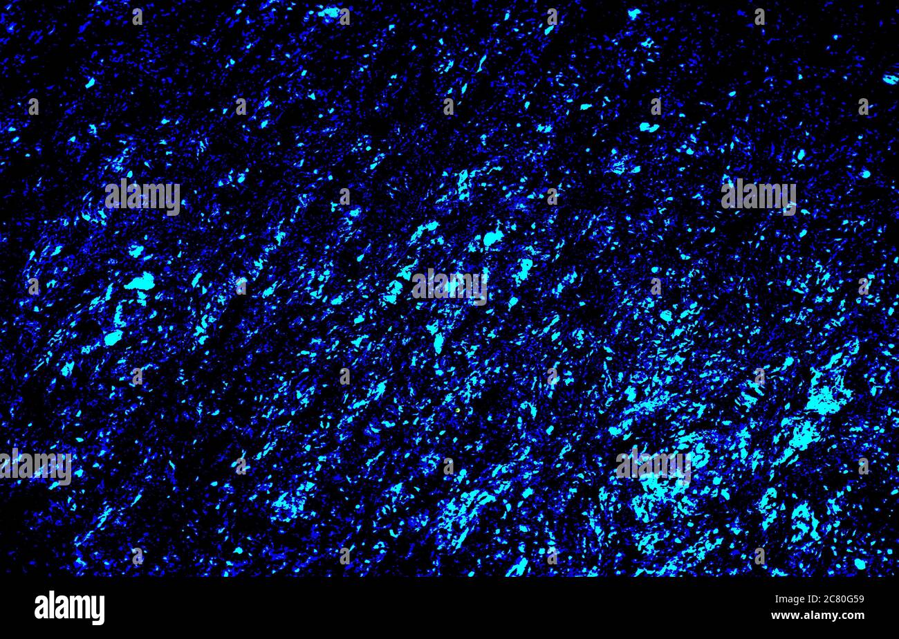 Abstract einer schönen blauen und schwarzen Farbe Galaxie Granit Textur Stockfoto