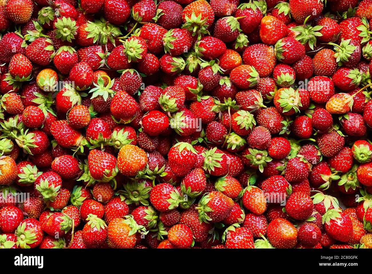 Erdbeer Hintergrund. Frische Bio-Beeren flach legen. Stockfoto