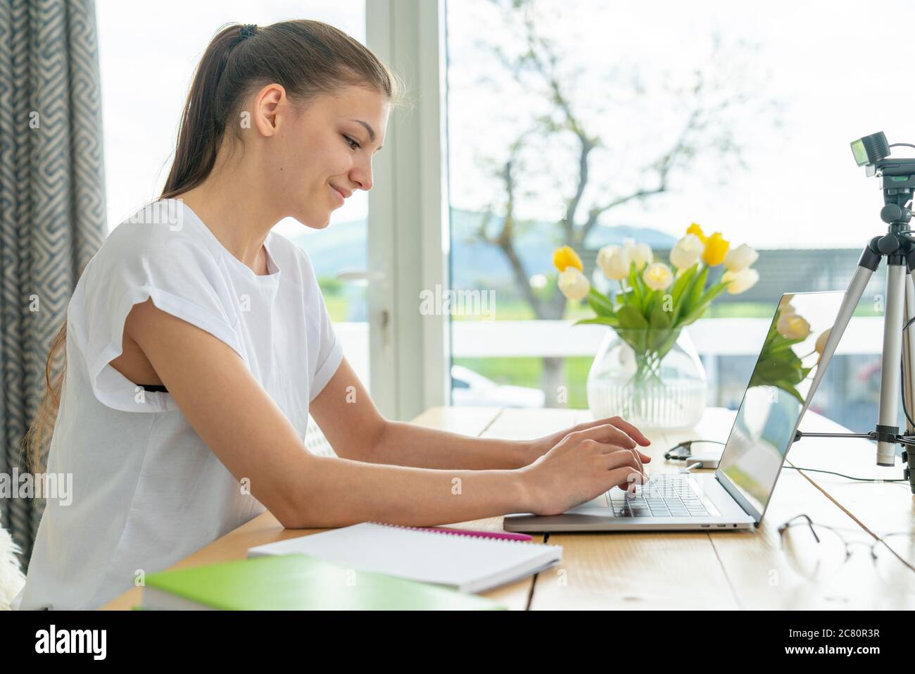 Schöne junge Brünette weibliche Studentin mit tragbaren Laptop-Computer, während zu Hause in der Nähe des Fensters mit Blick auf die Berge sitzen Stockfoto
