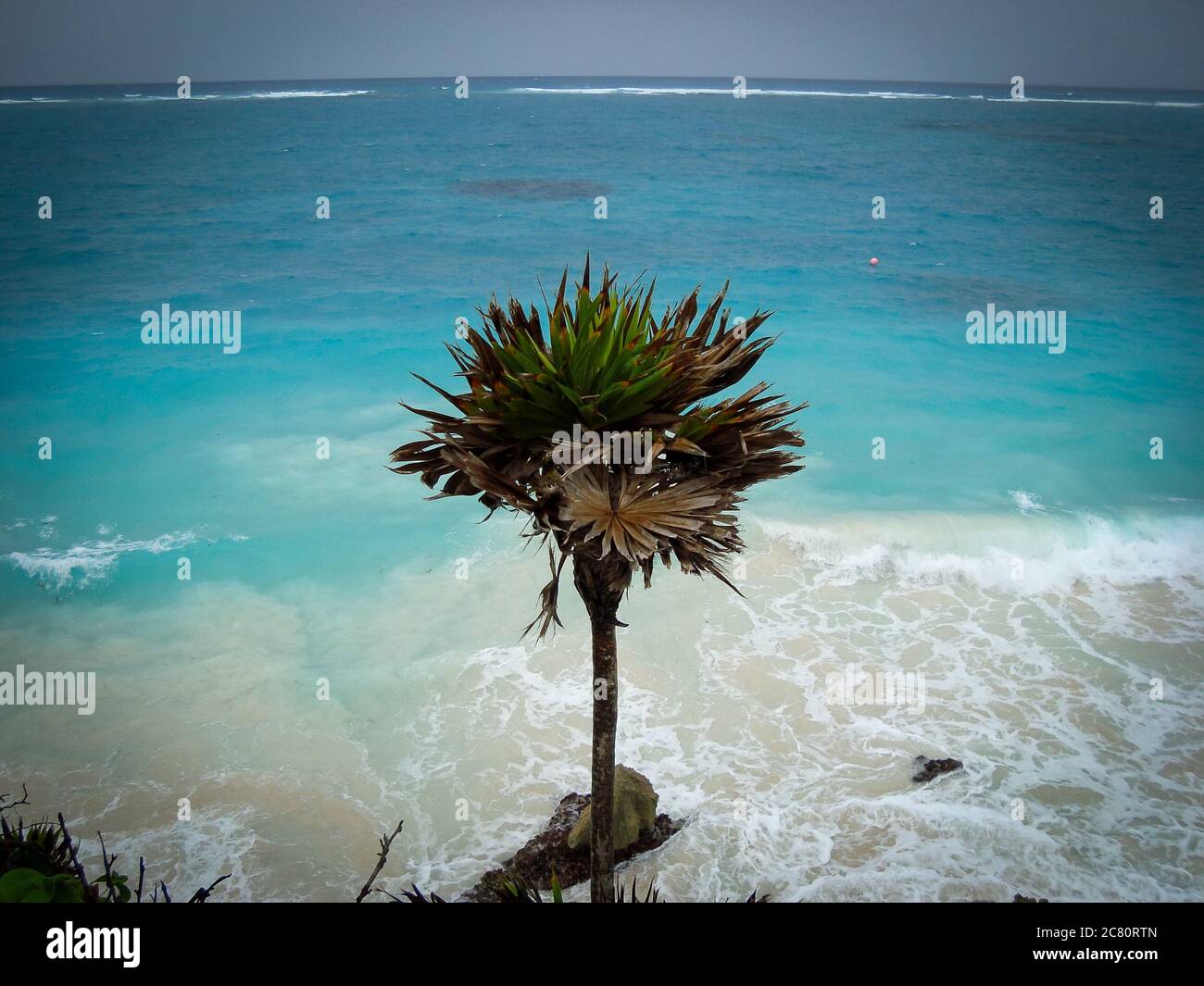 Maya ruyn in Tulum, Mexiko. Karibisches Meer, toller Strand. Windiger Tag. Isolierte Anlage Stockfoto