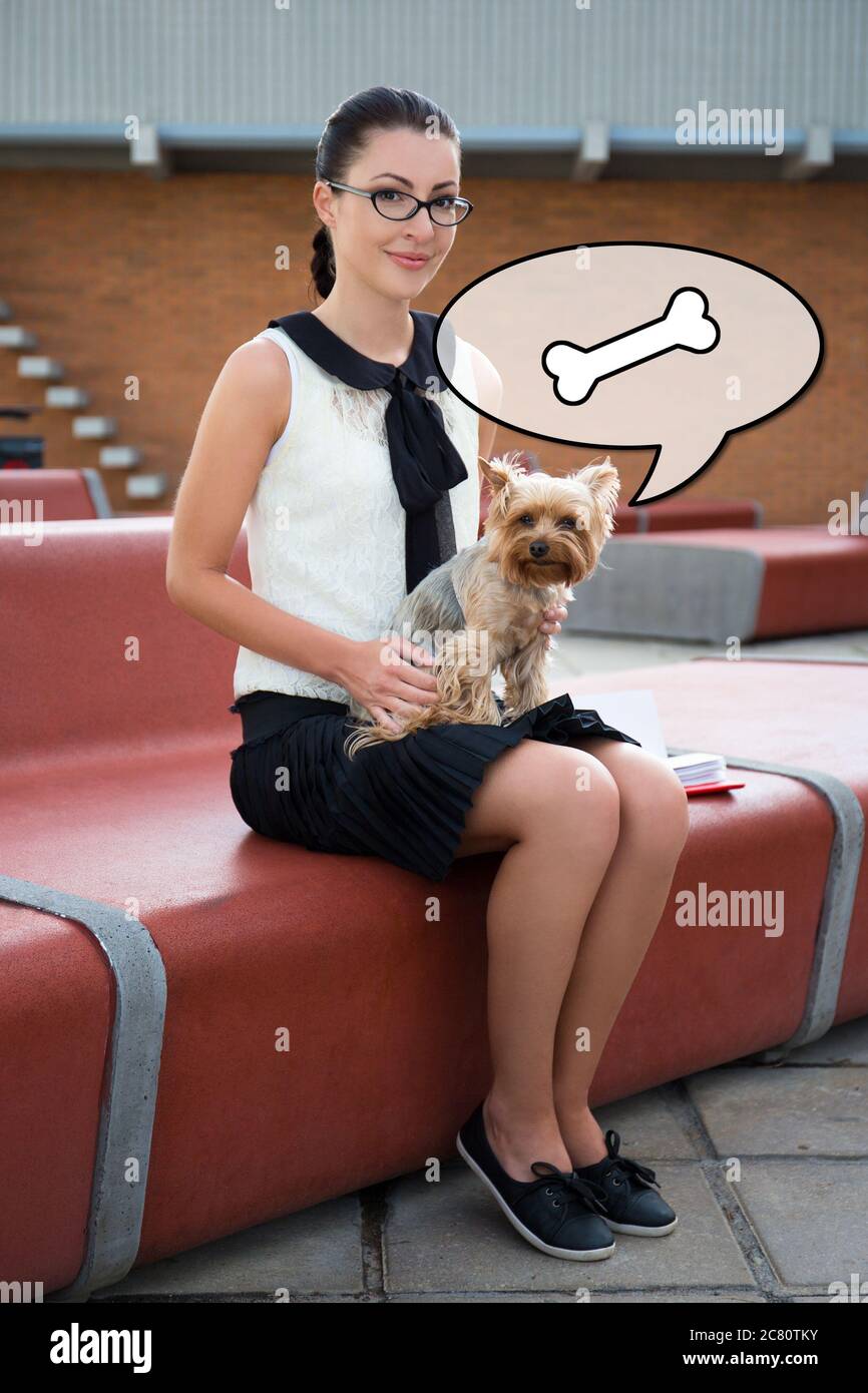 Nettes Mädchen mit Hund yorkshire Terrier im Stadtpark sitzen Stockfoto