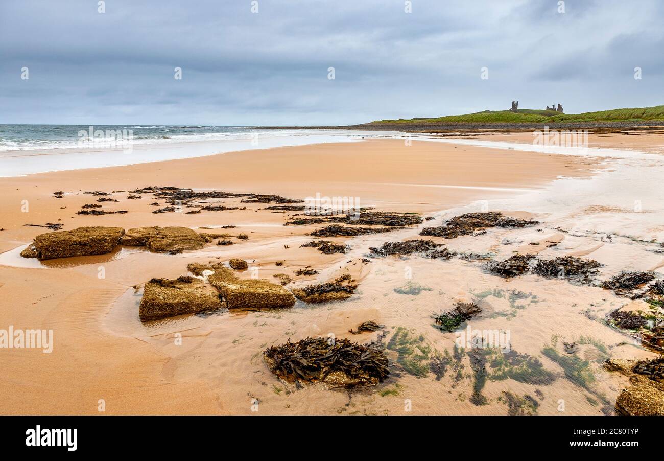 Blick Richtung Süden entlang Embleton Beach in Richtung Dunstanburgh Castle, Northumberland, England Stockfoto