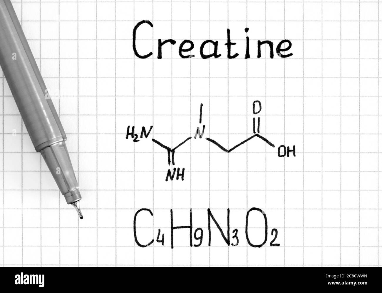 Chemische Formel von Creatin mit Stift. Nahaufnahme. Stockfoto