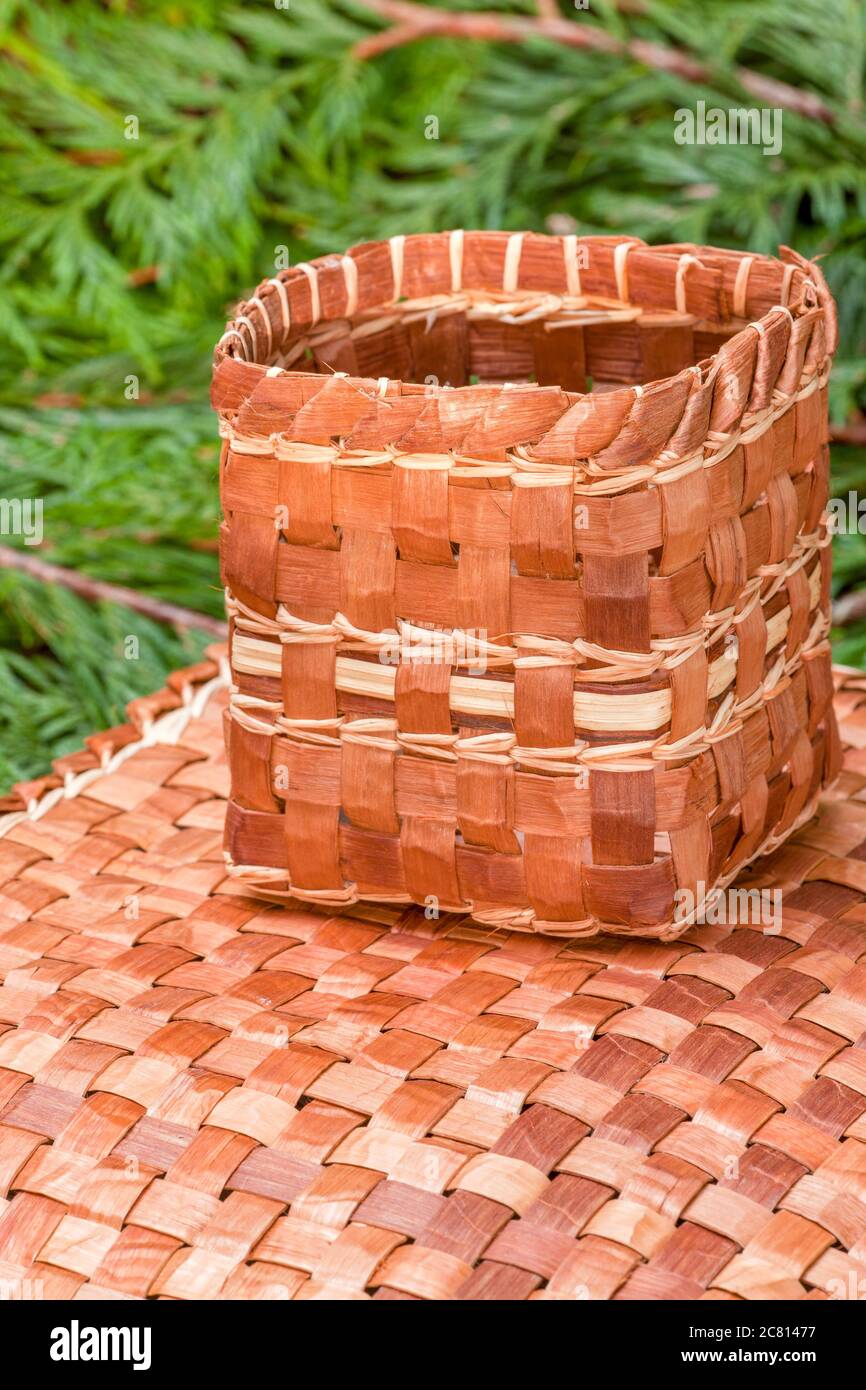 Hand-woven Matte und Korb aus der Pliant innere Rinde eines Western Red Cedar Baum gemacht, ruht auf Western Red Cedar branchlets. Stockfoto