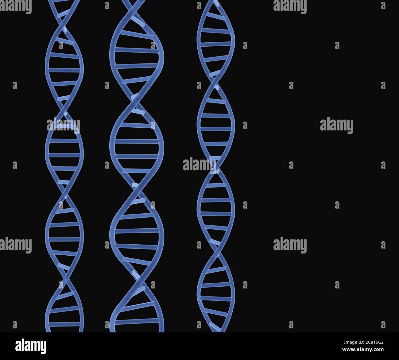 DNA-Moleküle Struktur auf schwarzem Hintergrund. Science and Technology Konzept, 3d Rendering Stockfoto