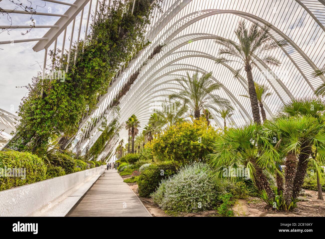3. März 2020: Valencia, Spanien - L'Umbracle, ein Skulpturengarten und Spaziergang, der einen Eingang zur Stadt der Künste und Wissenschaften in Valencia bildet. Stockfoto 3. März 2020: Valencia, Spanien - L'Umbracle, ein Skulpturengarten und Spaziergang, der einen Eingang zur Stadt der Künste und Wissenschaften in Valencia bildet. Stockfoto