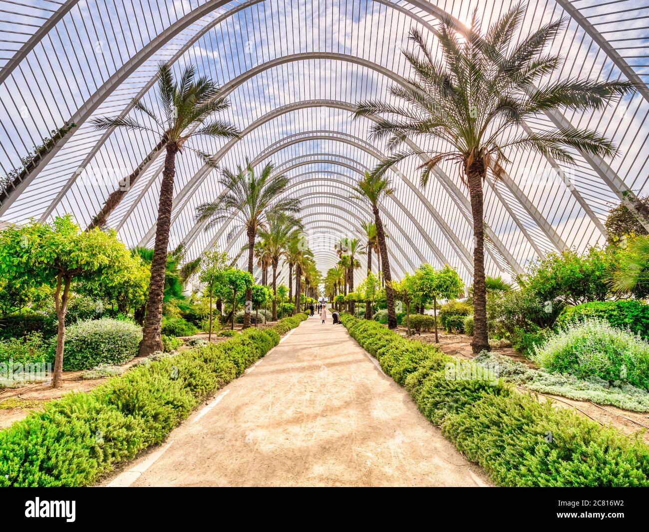 3. März 2020: Valencia, Spanien - L'Umbracle, ein Skulpturengarten und Spaziergang, der einen Eingang zur Stadt der Künste und Wissenschaften in Valencia bildet. Stockfoto 3. März 2020: Valencia, Spanien - L'Umbracle, ein Skulpturengarten und Spaziergang, der einen Eingang zur Stadt der Künste und Wissenschaften in Valencia bildet. Stockfoto
