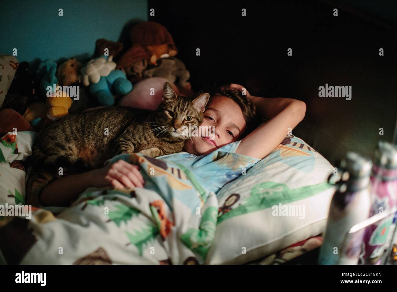 Brown tabby Katze schmiegt sich gegen die Wange seiner Zehn Jahre alter Mensch Stockfoto