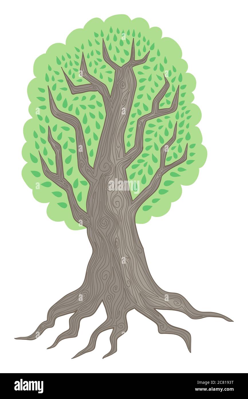 Handgezeichnete Vektorgrafik mit einem großen alten Baum Stockfoto