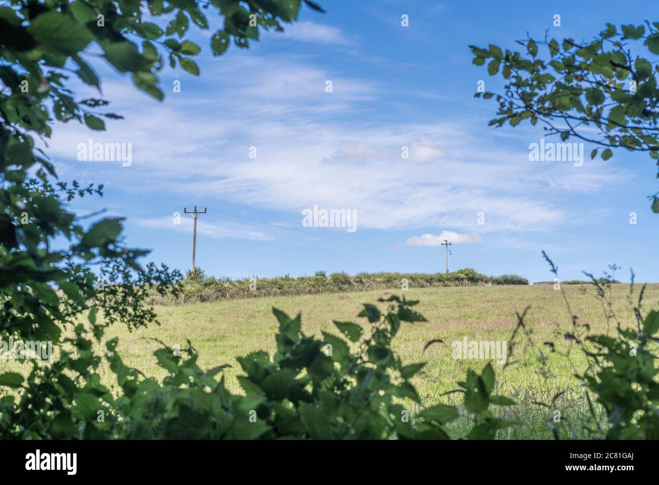 Entfernter sonnenbeschienener Hügel UK Feld durch eine Lücke in der Hecke gesehen. UK Landwirtschaft und Landwirtschaft, Sonnenschein in Großbritannien, Sunny Fields Großbritannien. Stockfoto