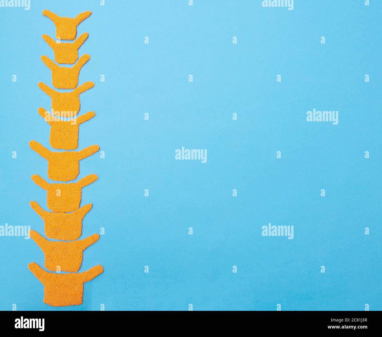 Modell der menschlichen Wirbelsäule auf blauem Hintergrund. Das Konzept der Jugend und Flexibilität der menschlichen Wirbelsäule. Platz für Text, Medikation kopieren Stockfoto