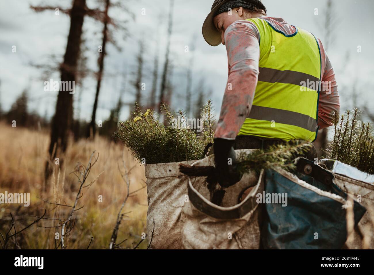 Mann, der Bäume im Wald pflanzt. Männliche Baumpflanzer trägt reflektierende Weste zu Fuß in Wald Tragetasche voller Bäume. Stockfoto