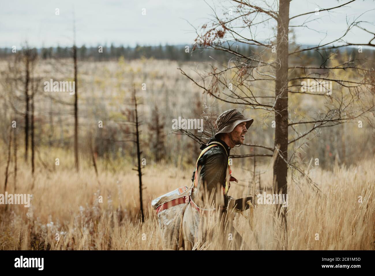 Mann, der durch entwaldete Gegend im Wald mit Taschen von neuen Bäumen geht. Ranger, der für die Wiederaufforstung im Wald arbeitet. Stockfoto
