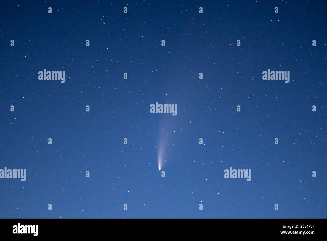 Komet C/2020 F3 (NEOWISE), gesehen am 20. Juli 2020 aus Wales, Großbritannien während der astronomischen Dämmerung, gegen klaren tiefblauen Himmel. Nördliche Hemisphäre. Stockfoto