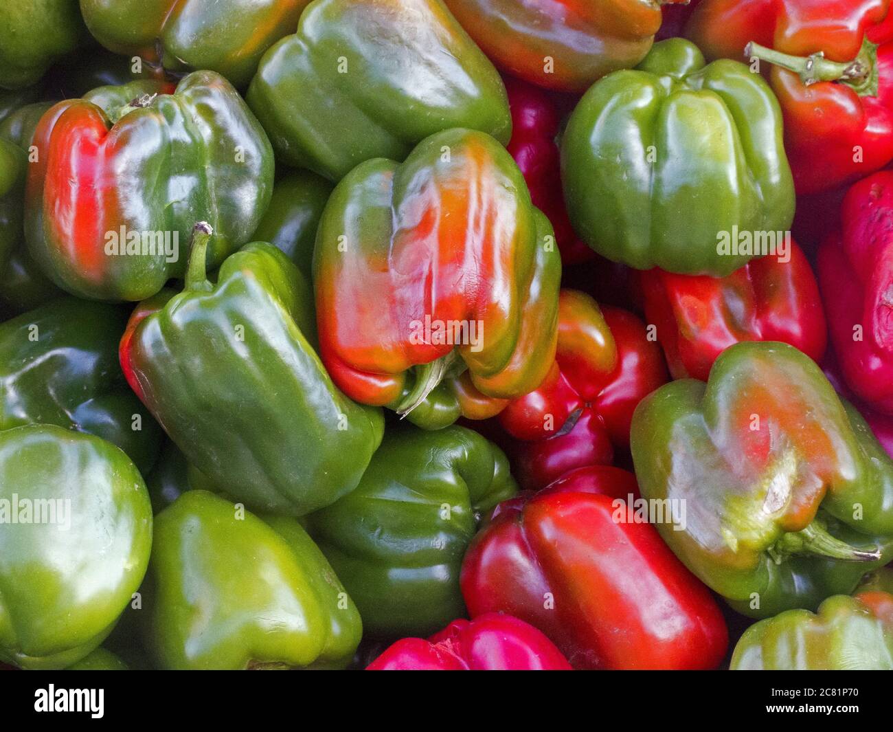 Köstlich aussehende reife grüne und rote Paprika Stockfoto