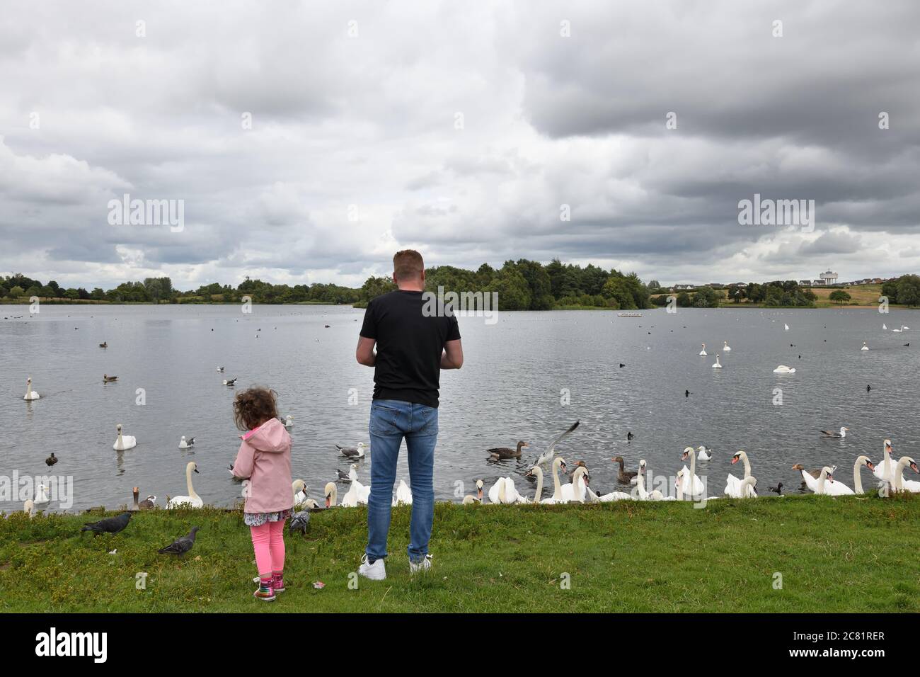 Glasgow, Schottland, Großbritannien. Juli 2020. Lockdown erleichtert und Glaswegier sind auf ihrem traditionellen 'Fair Monday' Feiertag. Dieses junge Mädchen und ihr Vater füttern die Schwanenschar am Hogganfield Loch. Kredit. Douglas Carr/Alamy Live News Stockfoto