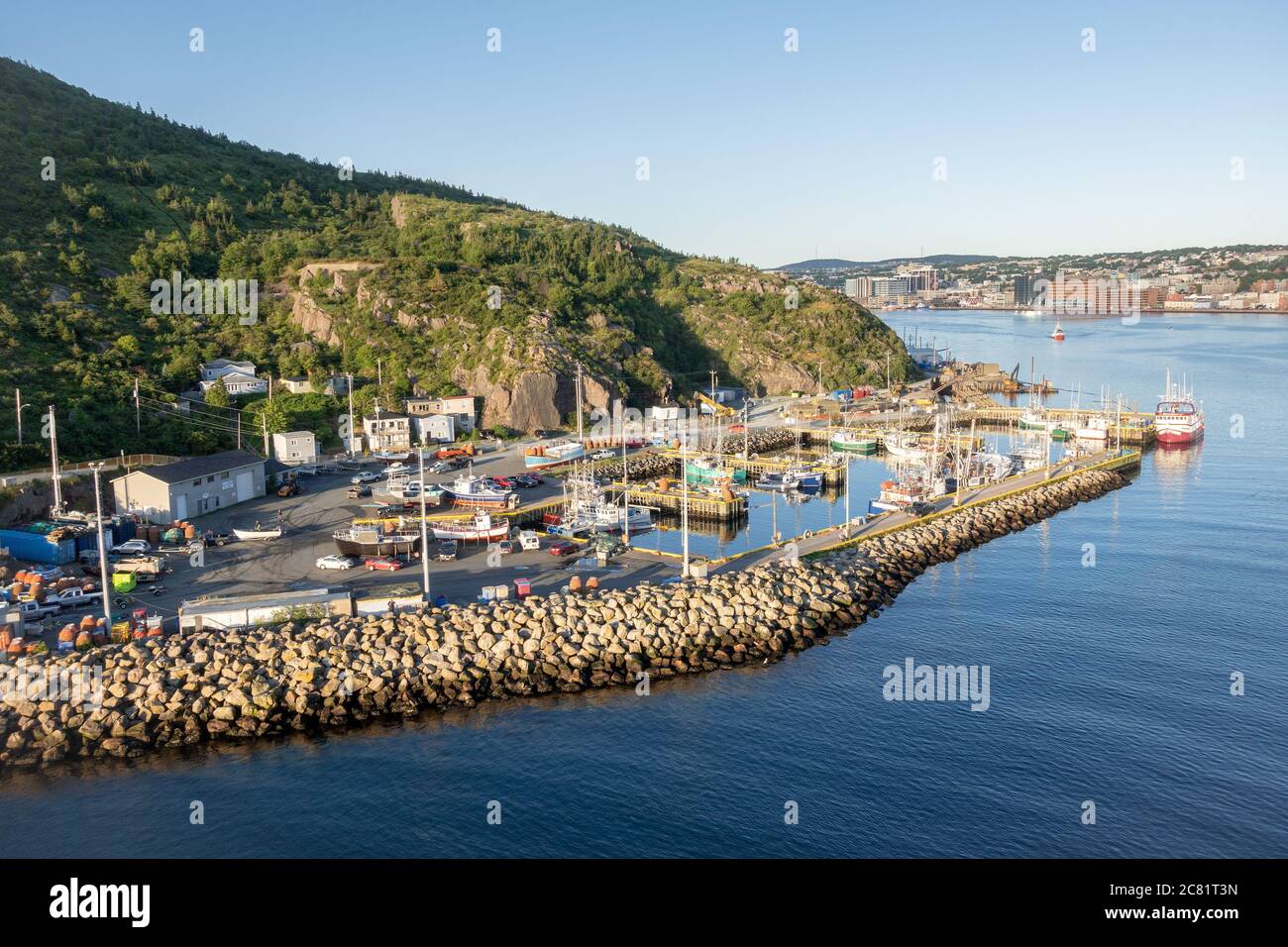 Kommerzielle Fischerboote vertäuten im Hafen von St. John's in der Nähe der Narrows Neufundland und Labrador Kanada Stockfoto
