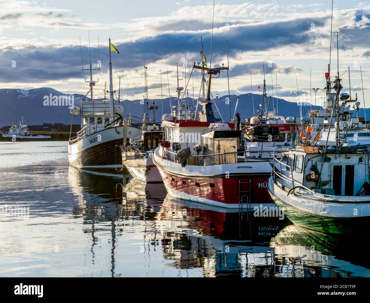 Fischerboote im Hafen Husavik; Nordurthing, Nordost-Region, Island Stockfoto