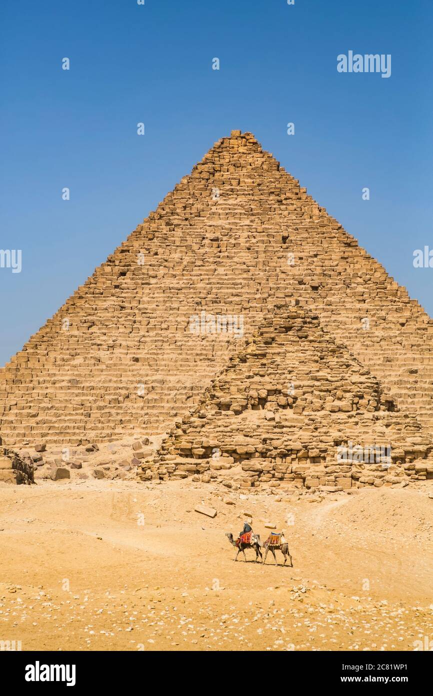 Lokaler Mann mit Kamelen, große Pyramide von Gizeh, Gizeh Pyramidenkomplex, UNESCO-Weltkulturerbe; Gizeh, Ägypten Stockfoto