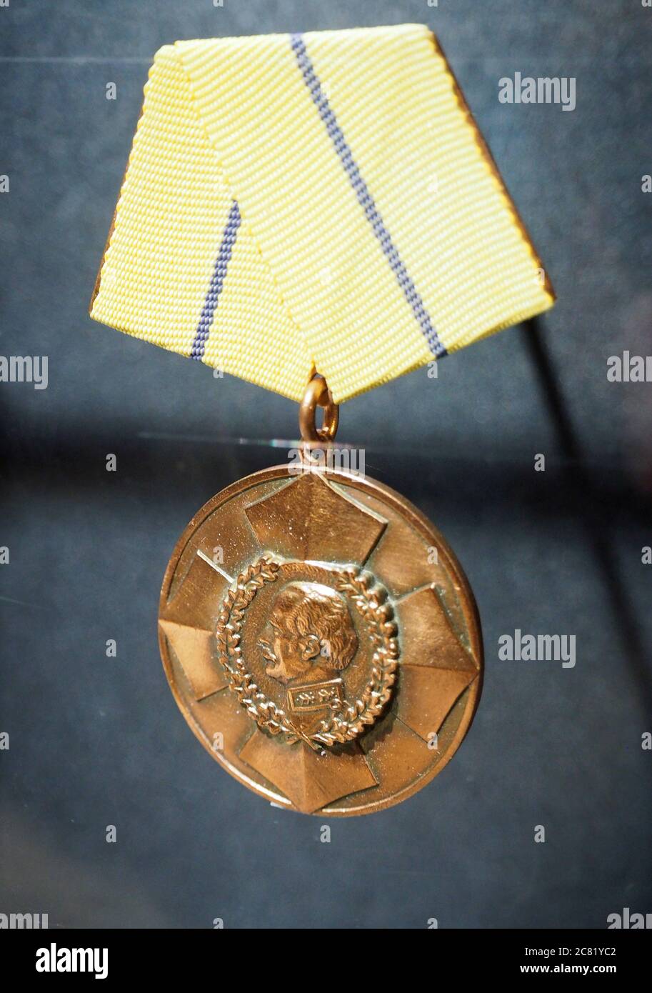 Blucher Medal, geprägt von Ostdeutschland für Tapferkeit während eines Dritten Weltkrieges, der glücklicherweise nie passiert ist. Stockfoto