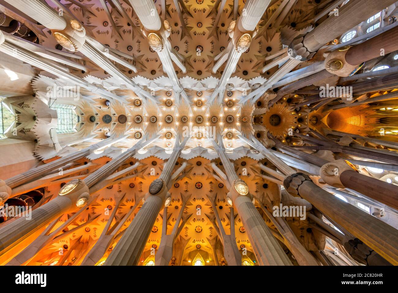 Niedrige Ansicht der Decke im Kirchenschiff, Sagrada Familia, Barcelona, Katalonien, Spanien Stockfoto