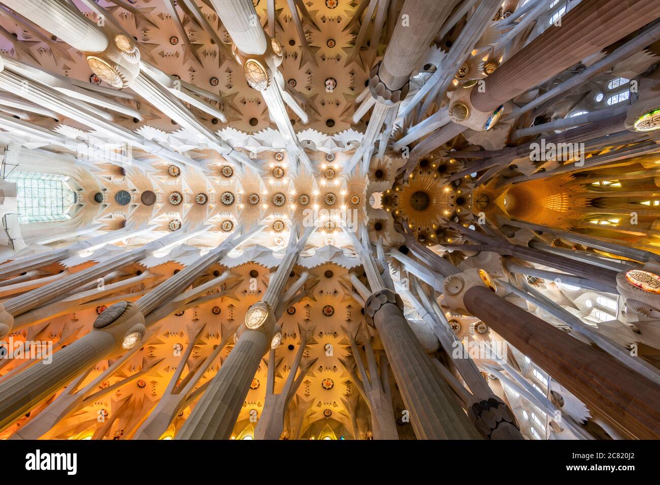 Niedrige Ansicht der Decke im Kirchenschiff, Sagrada Familia, Barcelona, Katalonien, Spanien Stockfoto