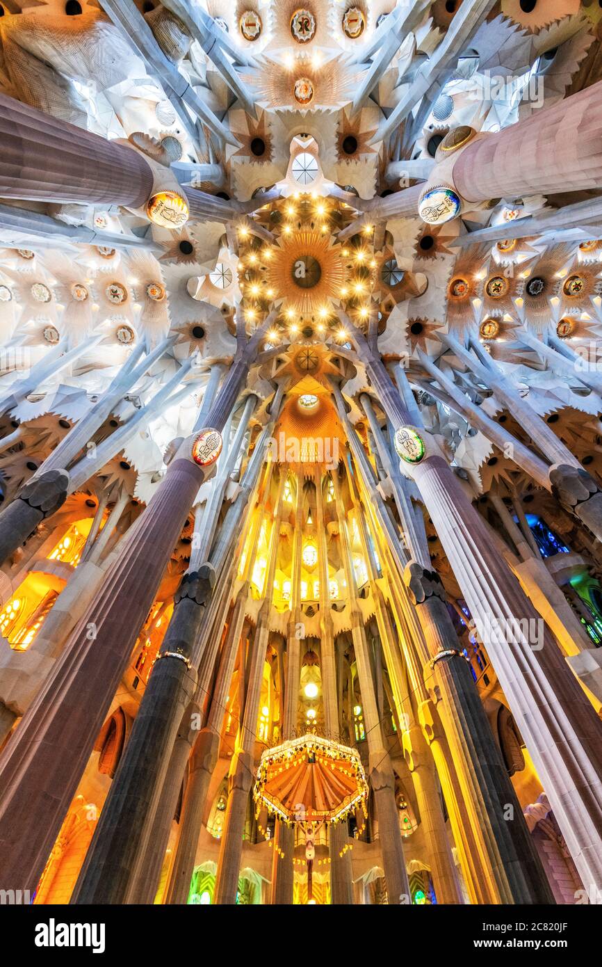 Niedrige Ansicht der Decke im Kirchenschiff, Sagrada Familia, Barcelona, Katalonien, Spanien Stockfoto