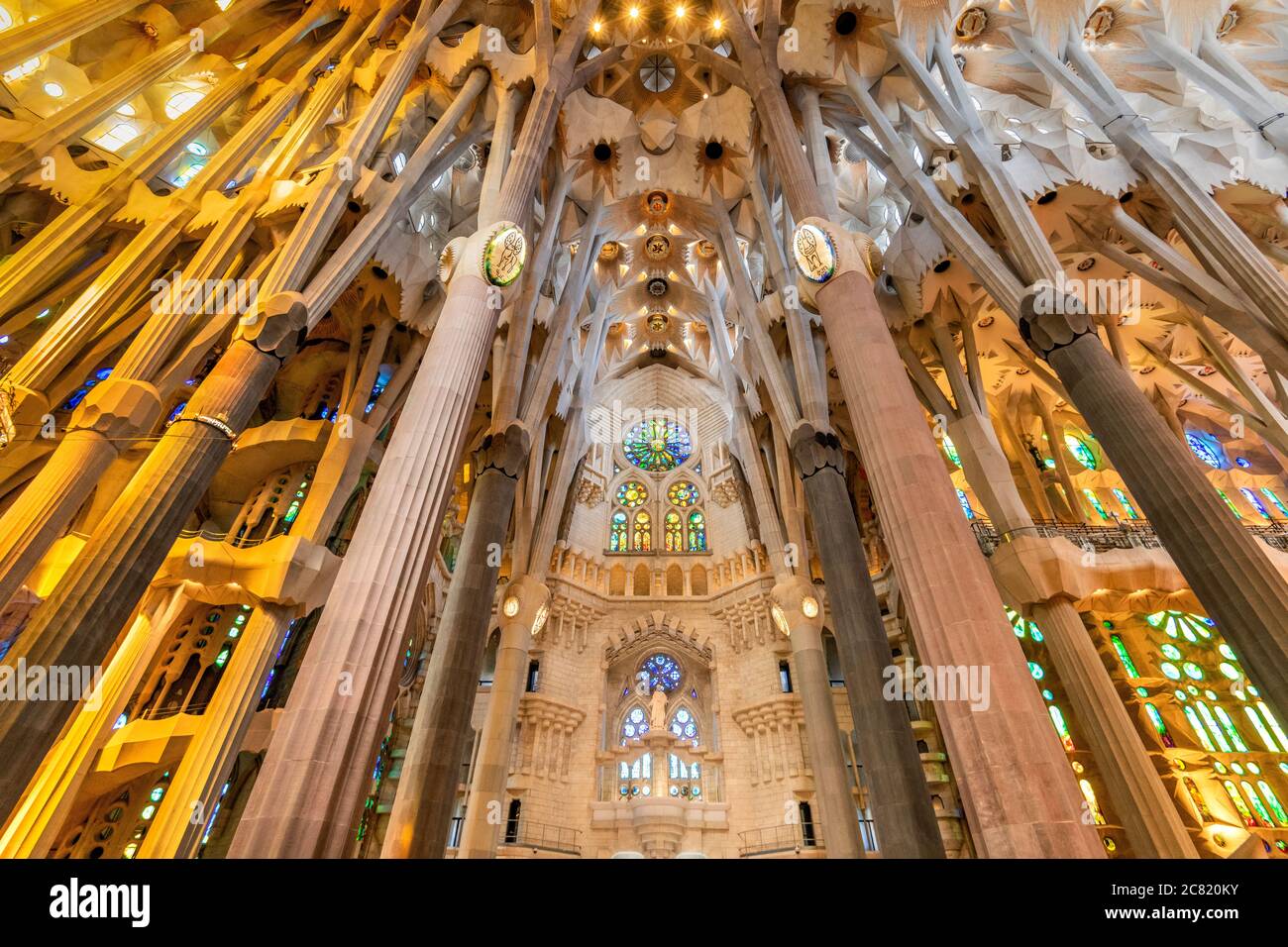 Niedrige Ansicht der Decke im Kirchenschiff, Sagrada Familia, Barcelona, Katalonien, Spanien Stockfoto