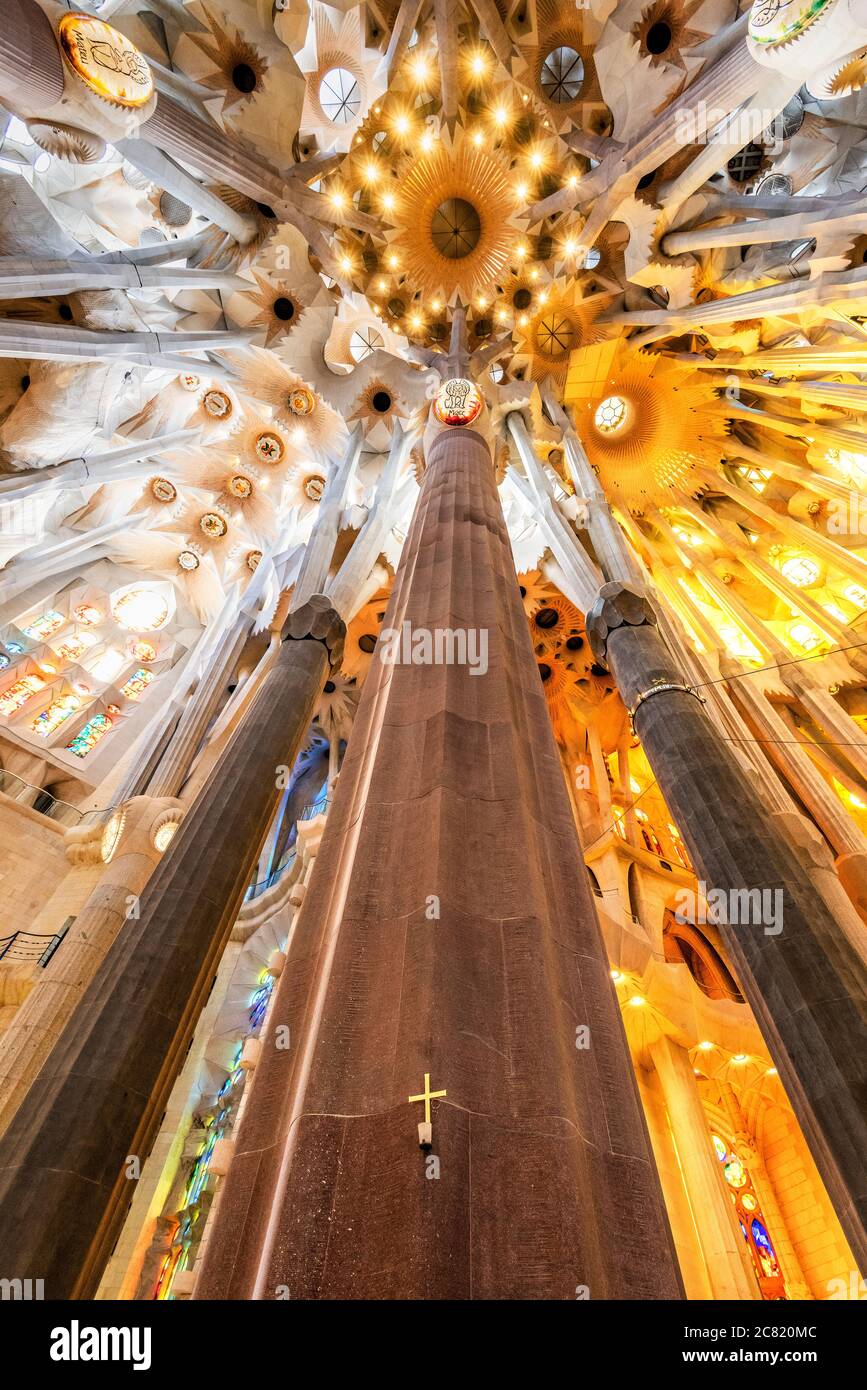 Niedrige Ansicht der Decke im Kirchenschiff, Sagrada Familia, Barcelona, Katalonien, Spanien Stockfoto