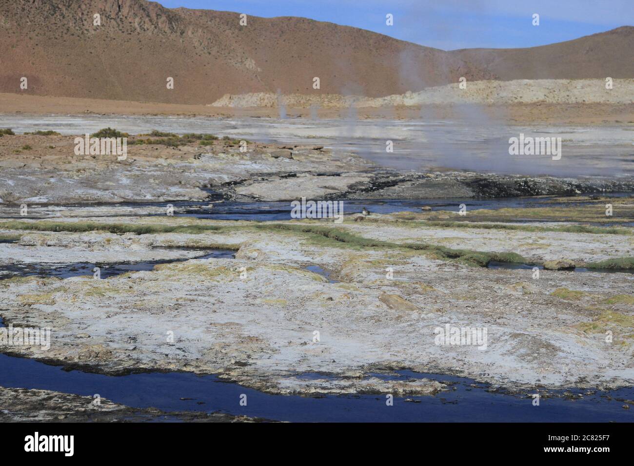 El Tatio Geysir Feldlandschaften, Atacama, Chile Stockfoto