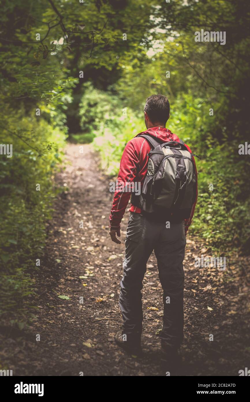 Rückansicht eines isolierten Mannes, der mit Rucksack in einem britischen Wald spazierenging. Wandern in den britischen Ländern. Stockfoto