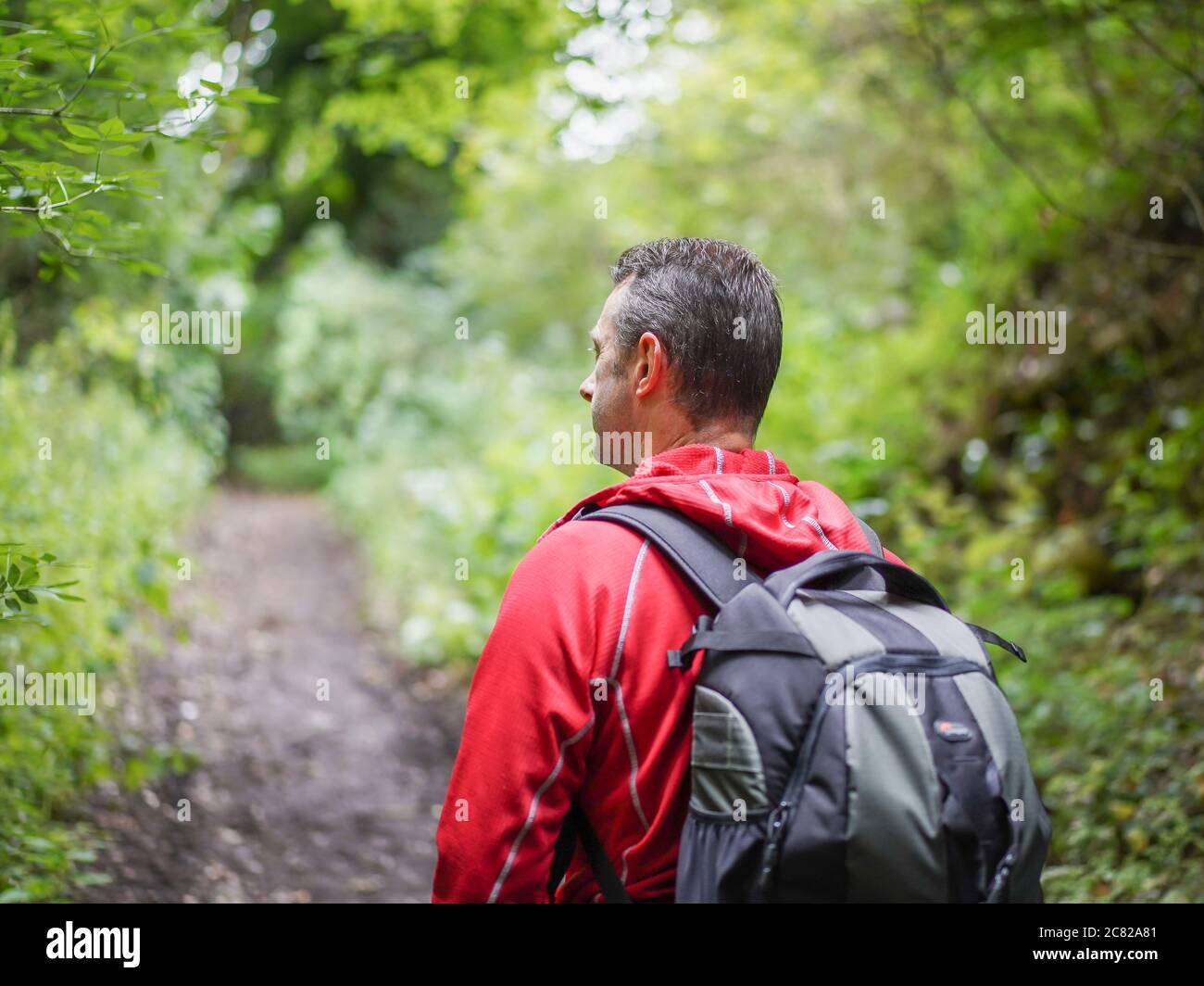 Nahansicht des Mannes (oberer Abschnitt), der in ländlicher Umgebung isoliert ist und im Sommer mit Rucksack auf dem britischen Waldweg spazierengeht. Stockfoto