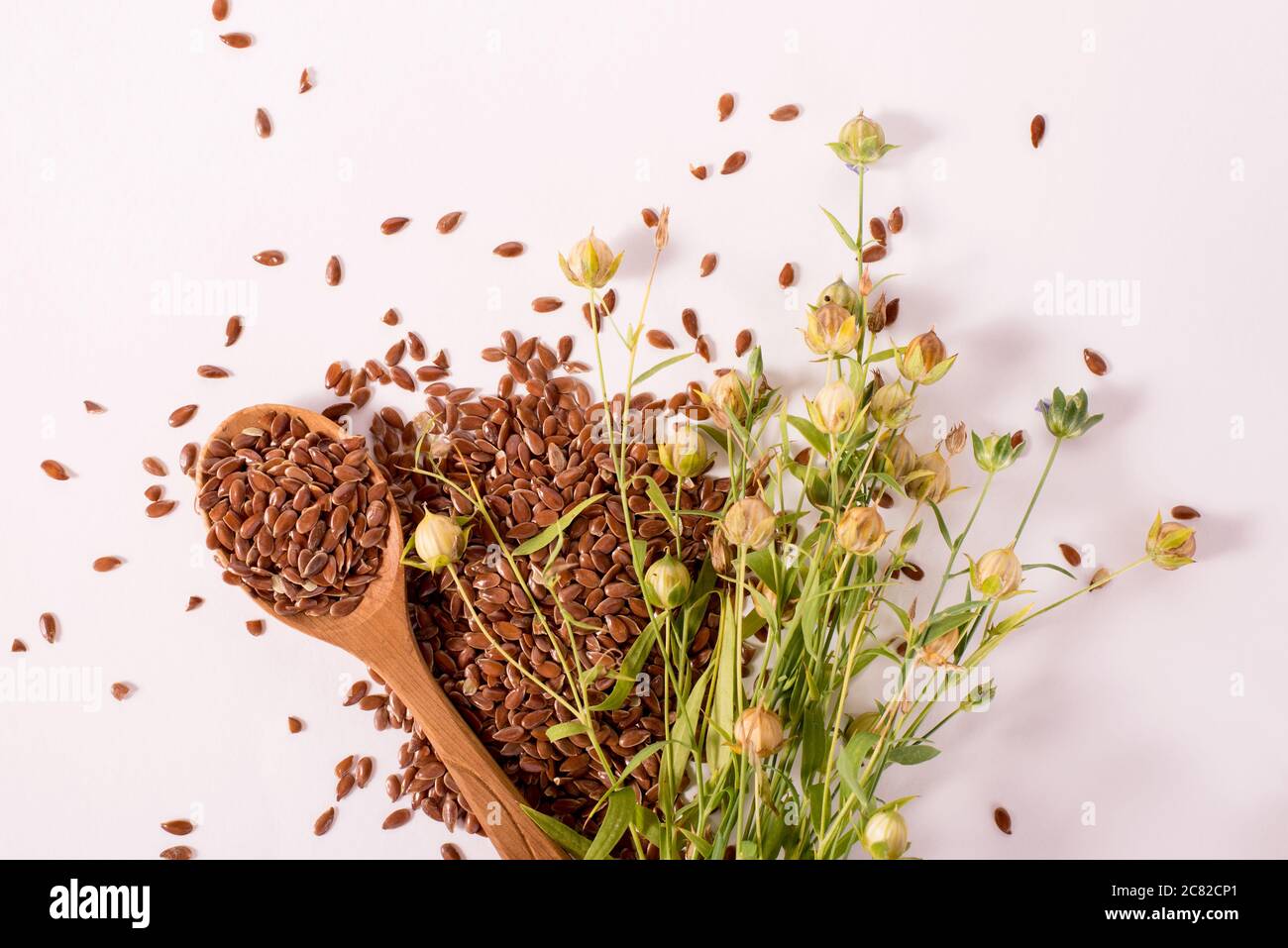 Nahaufnahme Leinsamen in einem Holzlöffel. Zusammensetzung mit , Leinsamen und Pflanzen auf weißem Hintergrund. Bio gesunde Lebensmittel Hintergrund. Stockfoto