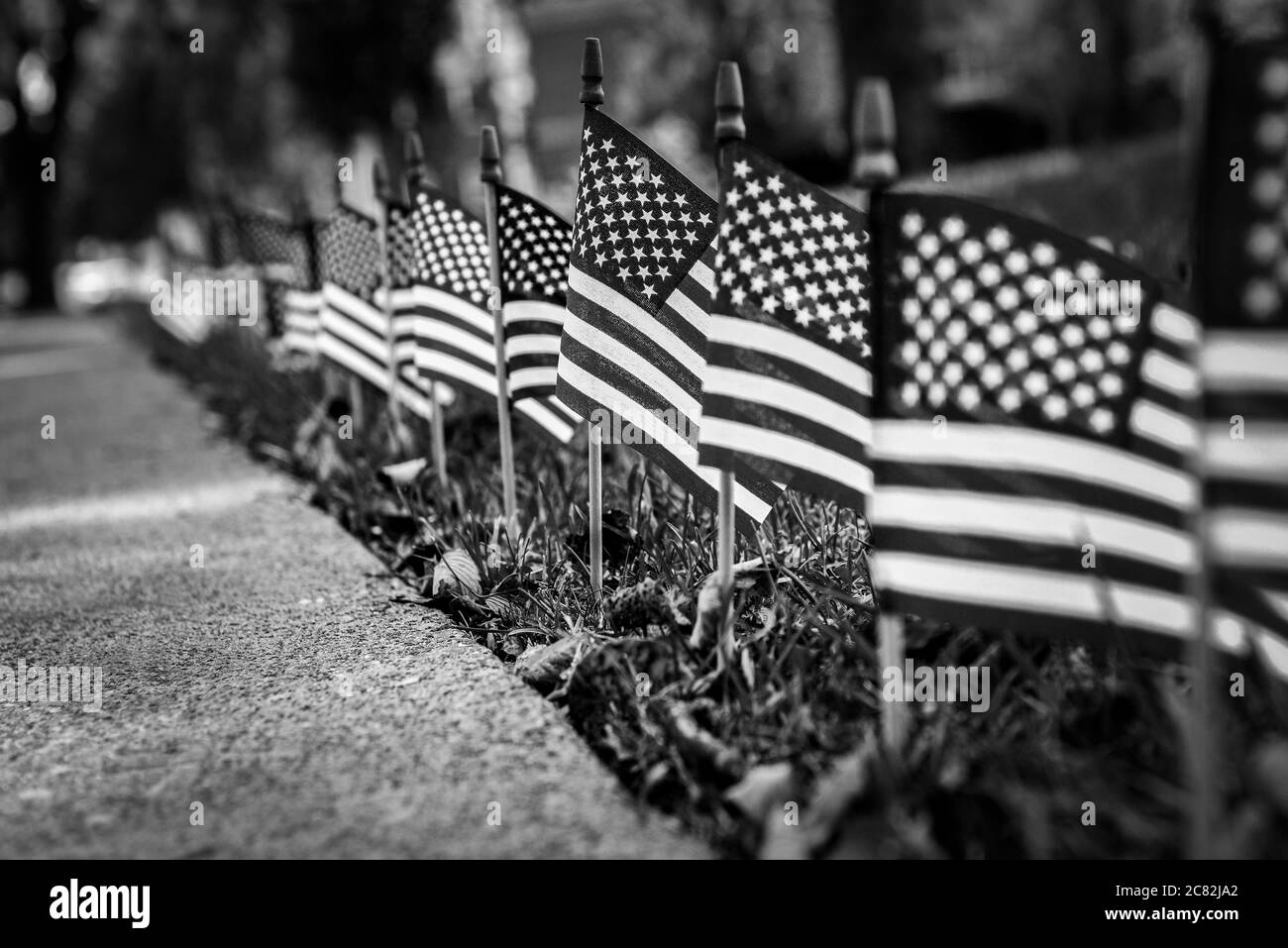 Eine ausgewählte Fokusansicht, in einem niedrigen Winkel einer Darstellung von Miniatur-amerikanischen Flaggen im Gras, in einer patriotischen Darstellung in den USA, in Schwarz-Weiß Stockfoto